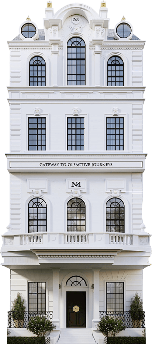 Maison Noir – La Maison